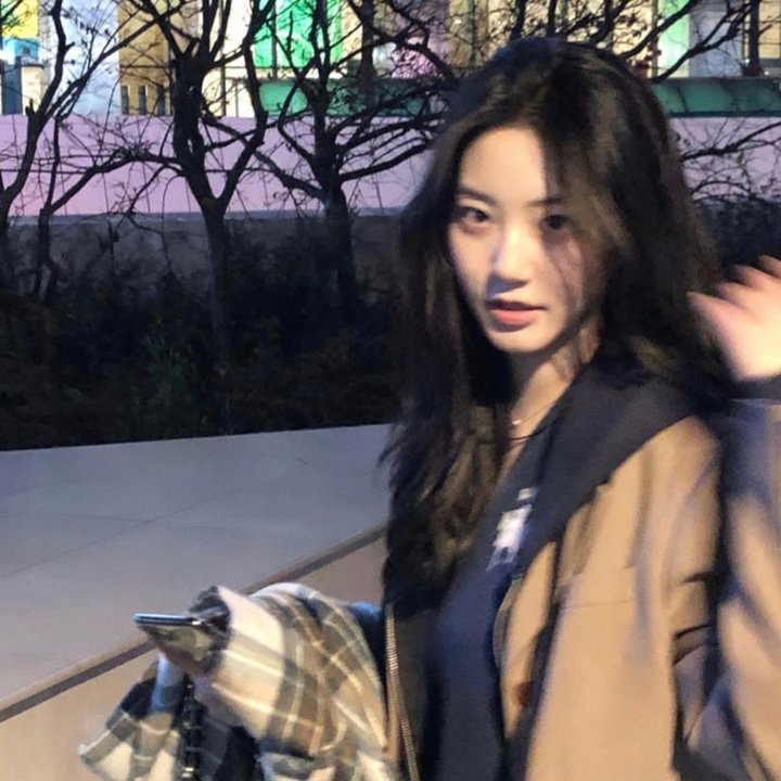 胡桃夹子与四个王国